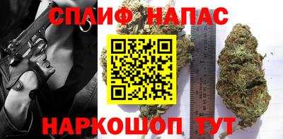 стаф Ставрополь