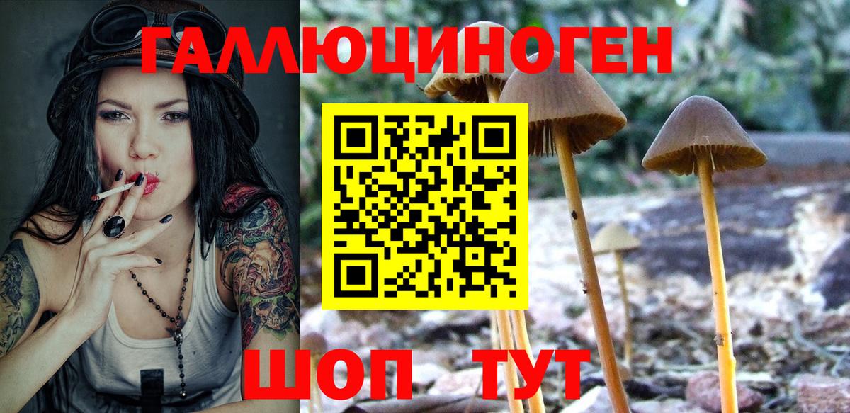 где купить   Галлюциногенные грибы ЛСД  Вход с VPN  Павлово 