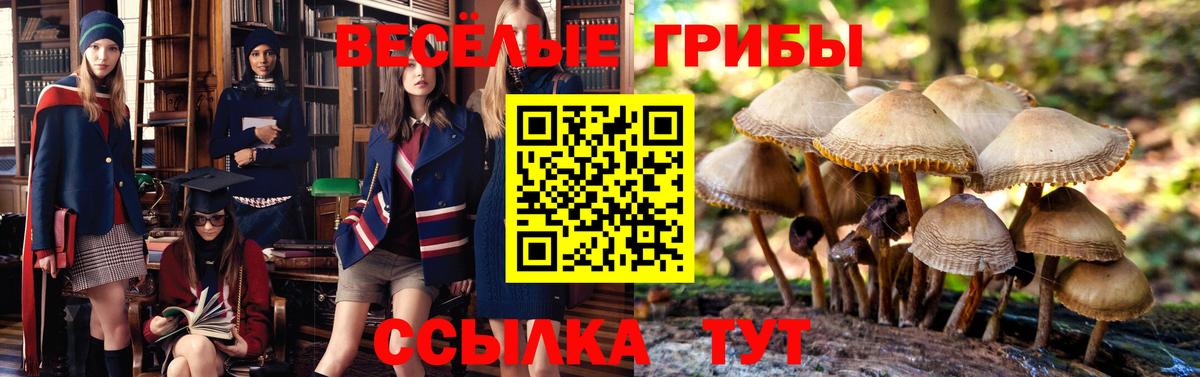 Павлово  Кокаин  NBOMe  КЕТАМИН  Гашиш  Канабис  МЕФ   Вход с VPN  Экстази 